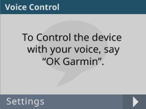 Garmin Dash Cam 55 with Voice Control